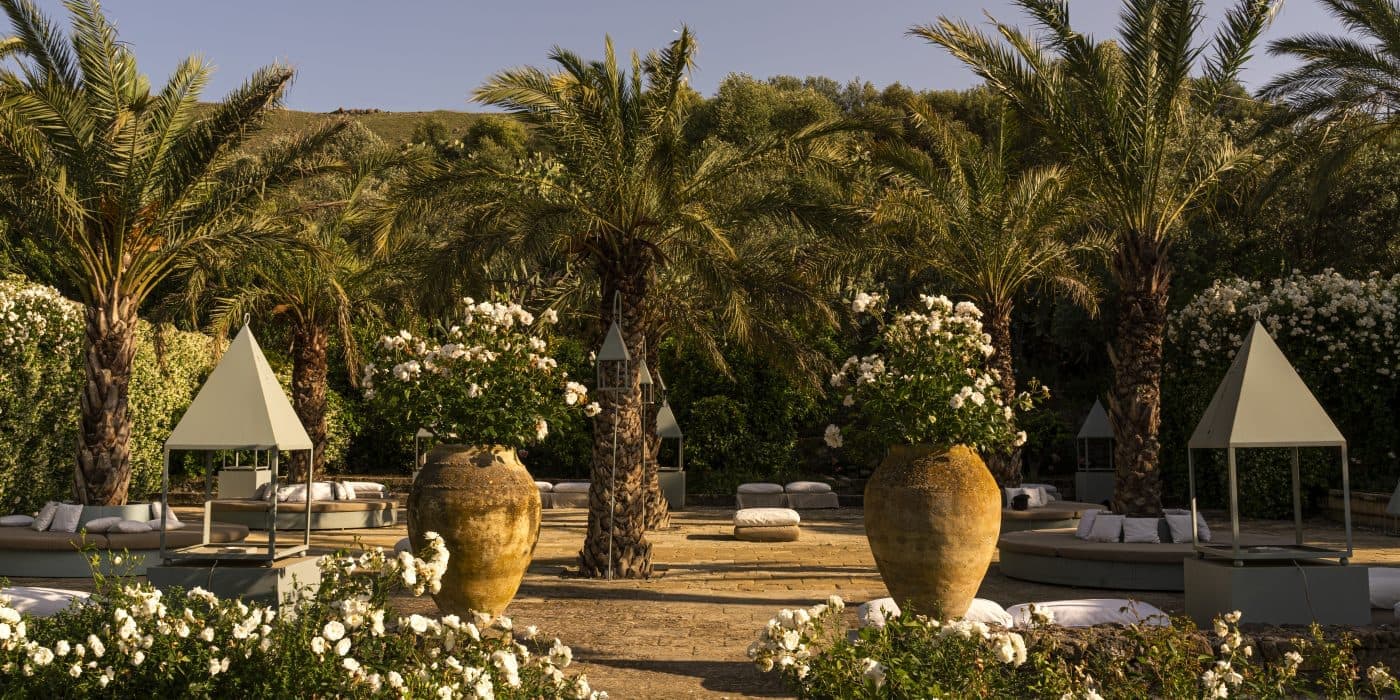 Wedding and Celebrations